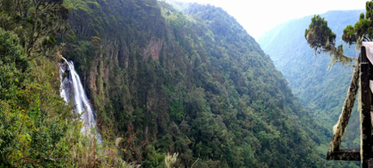 3-Day Aberdare Safari Experience