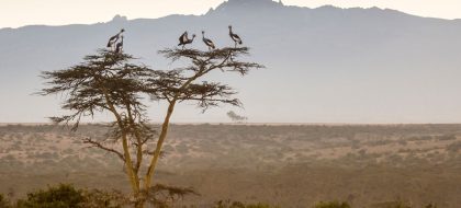 3-Day Solio Ranch Safari