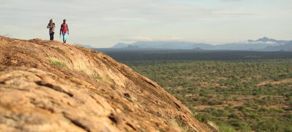 4-Day Nairobi & Samburu National Reserve Safari