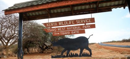 3-Days Tsavo West Train Tour from Mombasa