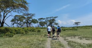 6 Days Maasai Mara, Nakuru & Amboseli Safari