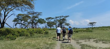 6 Days Maasai Mara, Nakuru & Amboseli Safari