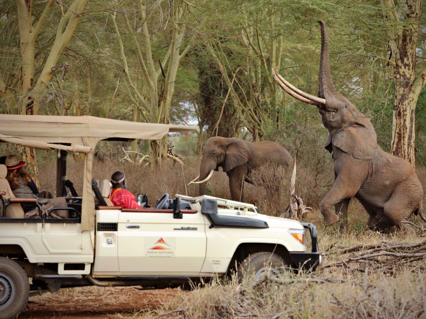 Game Drive in Tsavo West