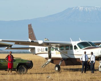 1-Day Maasai Mara Luxury Fly-in Safari