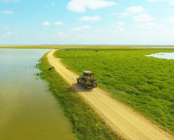 4-Day Diani to Amboseli- Tsavo West & Tsavo East Wildlife Safari