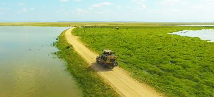 4-Day Diani to Amboseli- Tsavo West & Tsavo East Wildlife Safari