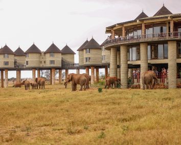 3-Days Wildlife Safari in Taita Hills Wildlife Sanctuary – Road Package.