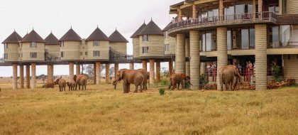 3-Days Wildlife Safari in Taita Hills Wildlife Sanctuary – Road Package.
