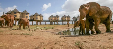 3-Day Train Tour from Mombasa to Taita Hills