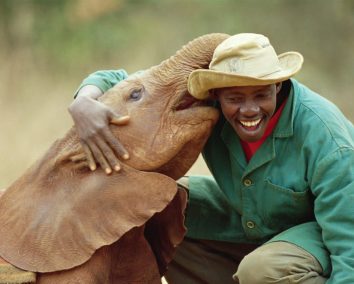 Nairobi Elephant Orphanage Tour.