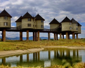 1 Day Taita Hills Wildlife Sanctuary Safari.