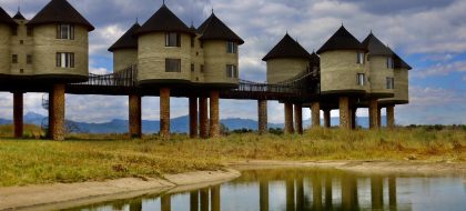 1 Day Taita Hills Wildlife Sanctuary Safari.