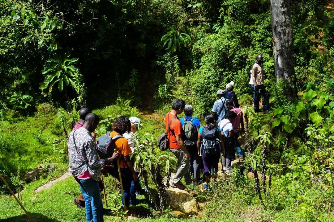 Leisure nature walk