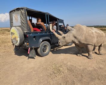 1-Day Ol Pejeta Conservancy Safari
