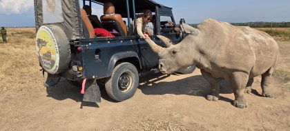 1-Day Ol Pejeta Conservancy Safari