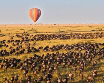 Hot Air Balloon Safari Over Maasai Mara