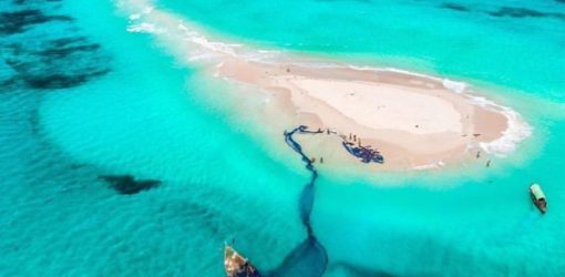 Zanzibar Safari Blue Tour