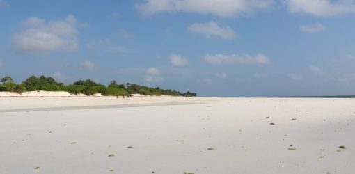 Prison Island Tour, Zanzibar