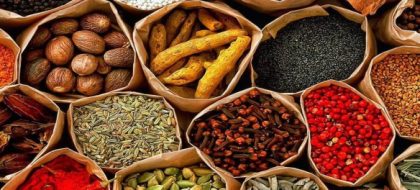 Zanzibar Spice Farm