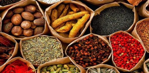 Zanzibar Spice Farm