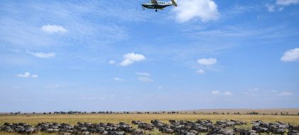 1-Day Maasai Mara Fly-in Safari