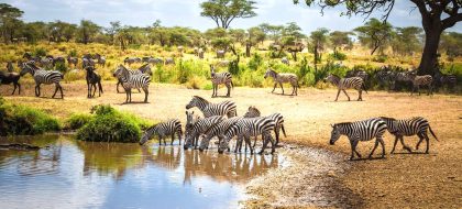 5-Day Tanzania Group Joining