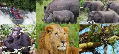 10-Day Uganda Ultimate Safari