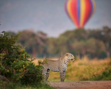 3-Day Maasai Mara Luxury Fly In Safari from Malindi