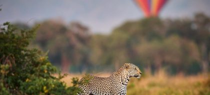 3-Day Malindi – Maasai Mara Luxury Fly In Safari.