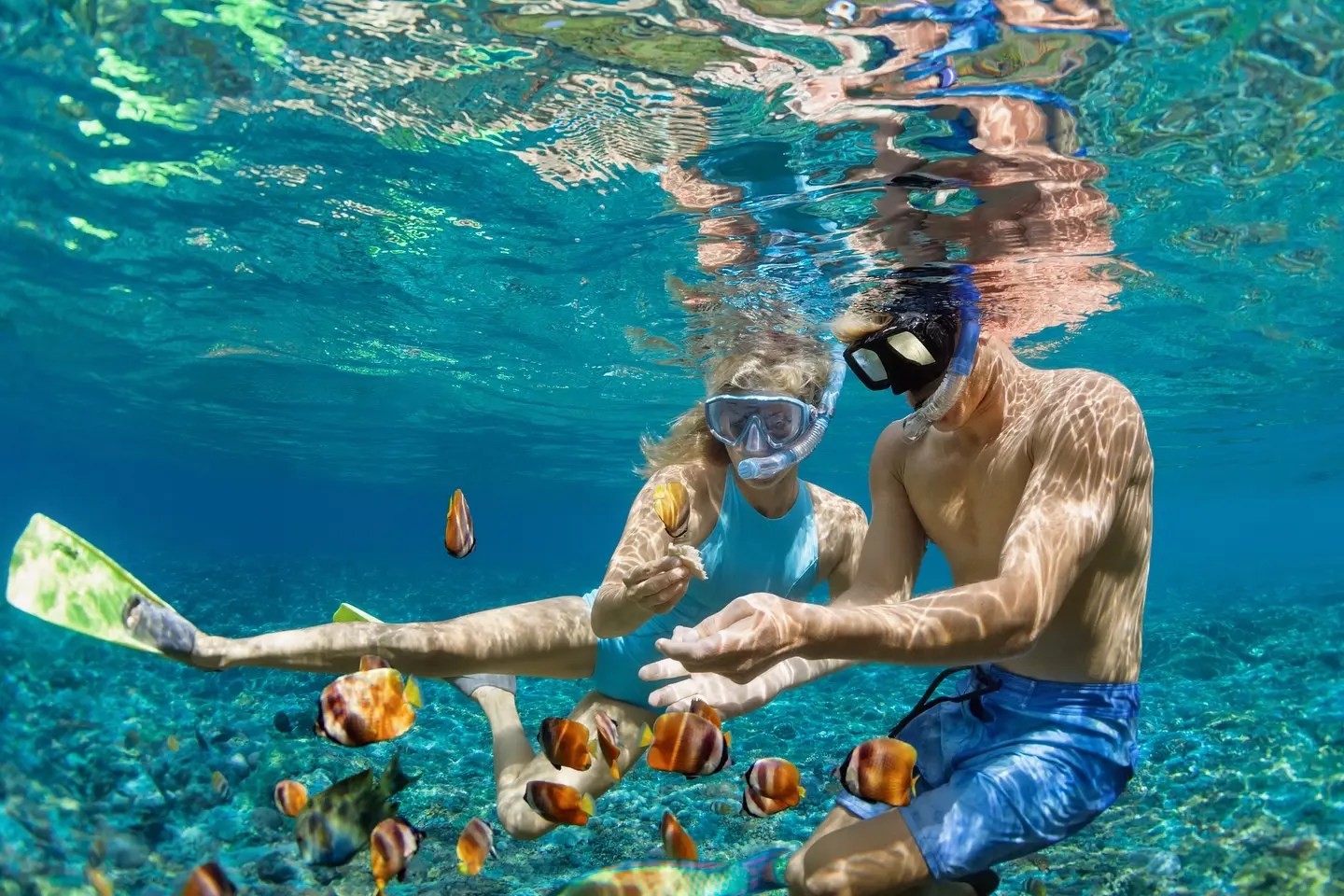 glass-boat-tour-and-snorkelling