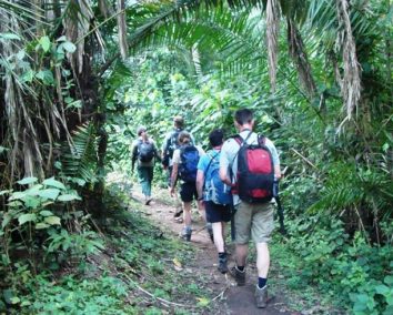 12 Day Uganda Hiking & Adventure Safari