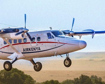 2-Day Mara Fly In Safari