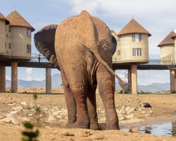 2 Days – Taita Hills Wildlife Sanctuary & Tsavo East Tour From Mombasa.