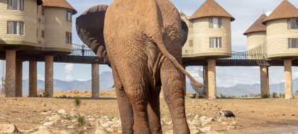 2 Days – Taita Hills Wildlife Sanctuary & Tsavo East Tour From Mombasa.