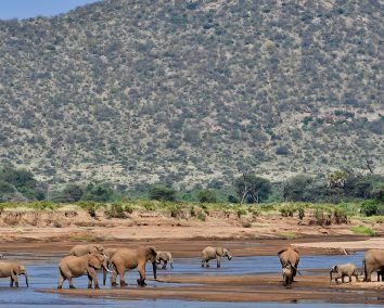 3 Day Samburu Safari Experience