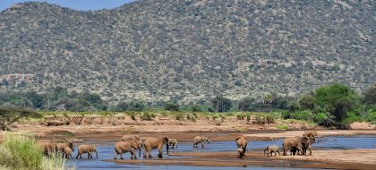 3 Day Samburu Safari Experience