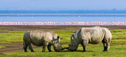 5-Day Kenya Safari