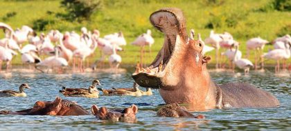 1-Day Lake Naivasha & Hell’s Gate Safari.
