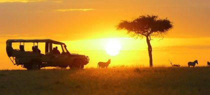 1 – Day Masai Mara Road Package.