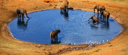 Tsavo East Day Trip From Malindi