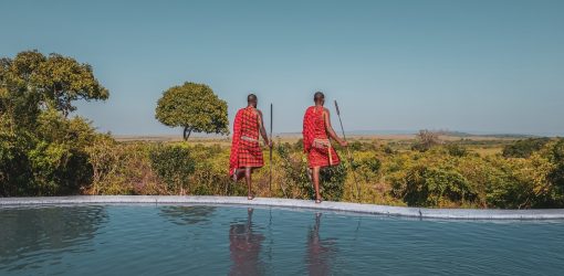 15 Days Kenya – Tanzania Luxury Bush Safari Offer !!!