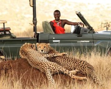 3-Day Watamu to Mara Safari