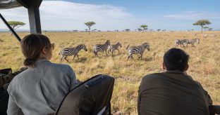 3-Day Kenya Safari – Day Trip Combo Offer.