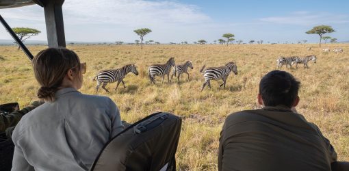 3-Day Kenya Safari – Day Trip Combo Offer.