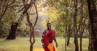 11 Days Romantic Bush & Beach Safari Offer !!!