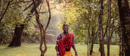 11 Days Romantic Bush & Beach Safari Offer !!!