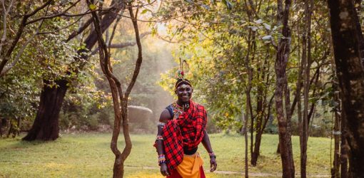 11 Days Romantic Bush & Beach Safari Offer !!!